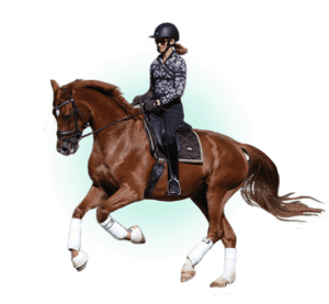A person in a helmet and riding gear demonstrates perfect form in this Rider Position Masterclass, riding a brown horse with white leg wraps, isolated on a white background.
