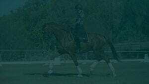 A person wearing a helmet and patterned shirt showcases excellent form during a Rider Position Masterclass, riding a brown horse in a dressage event on a grassy field, with trees and white dressage markers in the background.