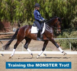 A rider in equestrian gear is trotting on a dark brown horse with white bandages on its legs in a sandy arena. The text at the bottom reads: “Training the MONSTER Trot!”.