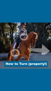A person wearing a helmet rides a chestnut horse outdoors. Two white circles highlight the riders hands and leg, with a large arrow pointing right. Text reads, How to Turn (properly!).