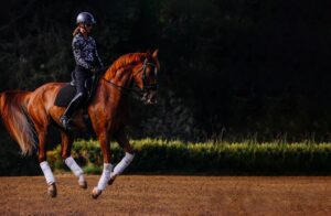 A person in a helmet and patterned jacket rides a chestnut horse with white leg wraps, cantering confidently in dressage on a dirt arena, surrounded by greenery and framed by dark trees in the background.