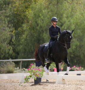 A Free Rider in a black helmet and outfit rides a black horse in an outdoor dressage arena, surrounded by lush greenery and pink flowers in the foreground.