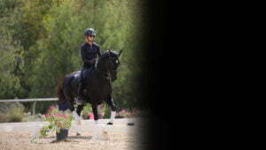 A person wearing a helmet and sunglasses rides a dark horse in an outdoor arena, focusing on proper rider position. Trees fill the background, pink flowers bloom in the foreground, and a black shadow partially covers the right side of the image.