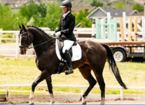 A person in equestrian attire rides a dark brown horse in an outdoor arena, with greenery and fencing in the background, embodying the spirit of giving back this Black Friday.