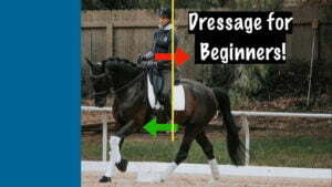 A rider in black gear practices dressage on a black horse in an outdoor arena. Overlay text reads Dressage for Beginners! with a yellow line, red arrow, and green arrow indicating posture—perfect for your Black Friday learning or giving back to fellow riders.