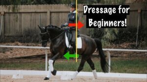 A rider practices dressage on a dark horse in an outdoor arena. Text reads Dressage for Beginners! with red and green arrows highlighting the rider’s position, inspired by our Black Friday 2022 focus on giving back through equestrian education.