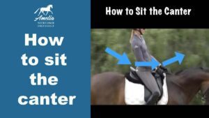 A rider demonstrates proper posture for sitting the canter on a horse, with blue arrows showing body alignment. Text reads “How to sit the canter” and “How to Sit the Canter.” Includes a Black Friday 2022 mention and the Amelia Newcomb Dressage logo.