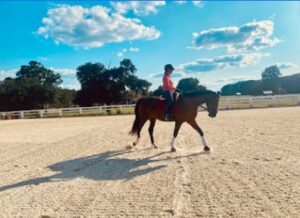 A person wearing a helmet and red shirt rides a brown horse in a sandy, fenced arena under a blue sky, enjoying the spirit of giving back with trees and scattered clouds in the background.