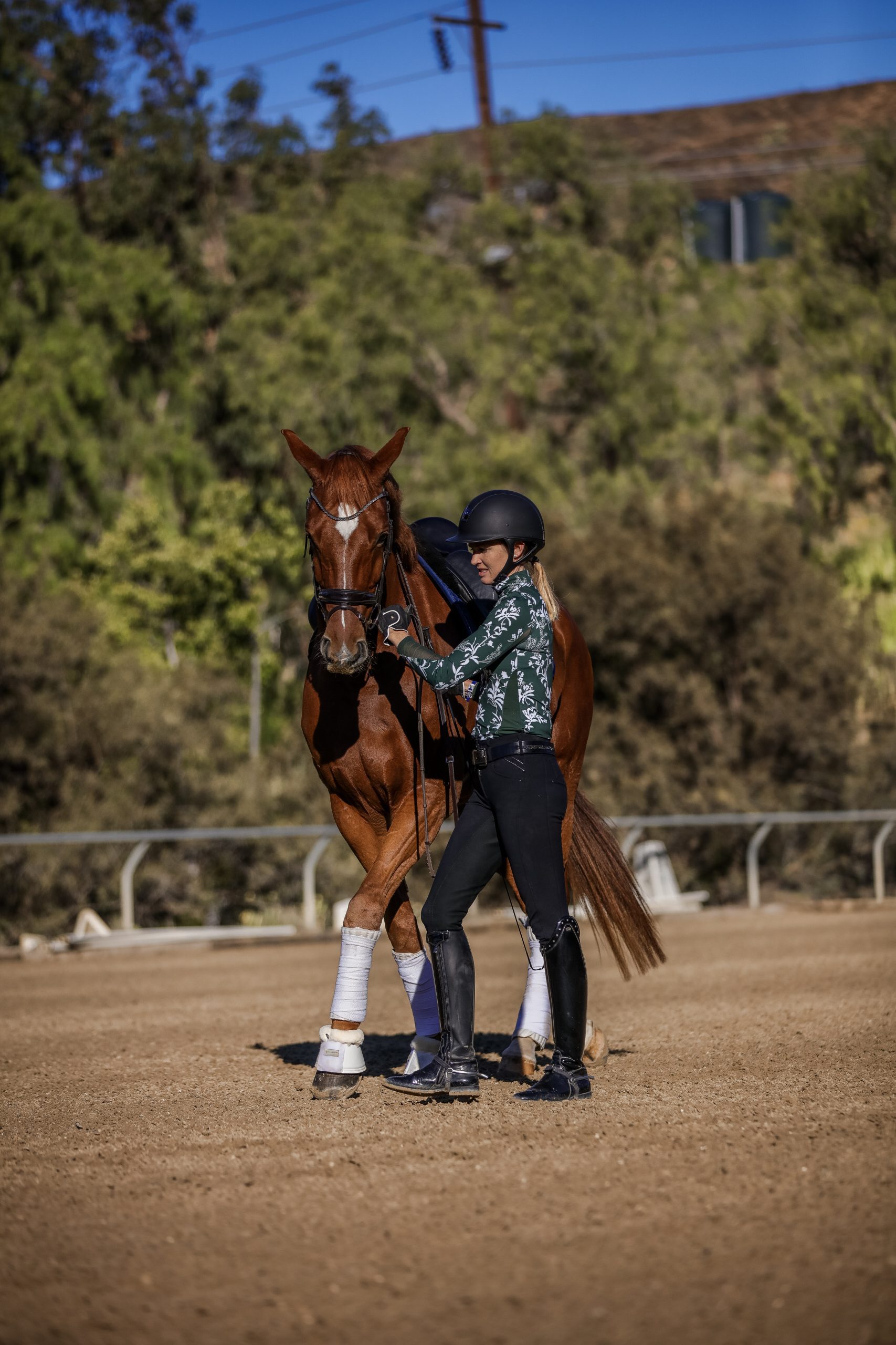 A person in riding gear and helmet stands beside a brown horse with white leg wraps, demonstrating expert groundwork in a sandy arena, framed by trees and hills—an equestrian masterclass in action.