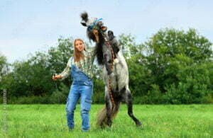 A woman in overalls and a plaid shirt stands on grass, holding a rope as a gray horse rears beside her, practicing groundwork in a green field with trees in the background—a true masterclass in horsemanship.