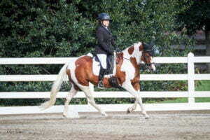 Claudia, dressed in equestrian attire, rides a brown and white pinto horse in an outdoor arena bordered by a white fence and green trees—perfect inspiration to train your eye for detail.