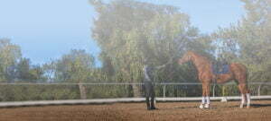 A person in equestrian gear stands on a sandy arena, holding the reins of a chestnut horse wearing a saddle and leg wraps—an ideal setting for a Groundwork Masterclass. Trees and a blue sky are visible in the background.