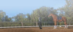 A person in riding gear stands next to a saddled brown horse in an outdoor arena, holding its reins—practicing skills from a Groundwork Masterclass. Trees and a blue sky are in the background, with the scene partially obscured by mist or haze.