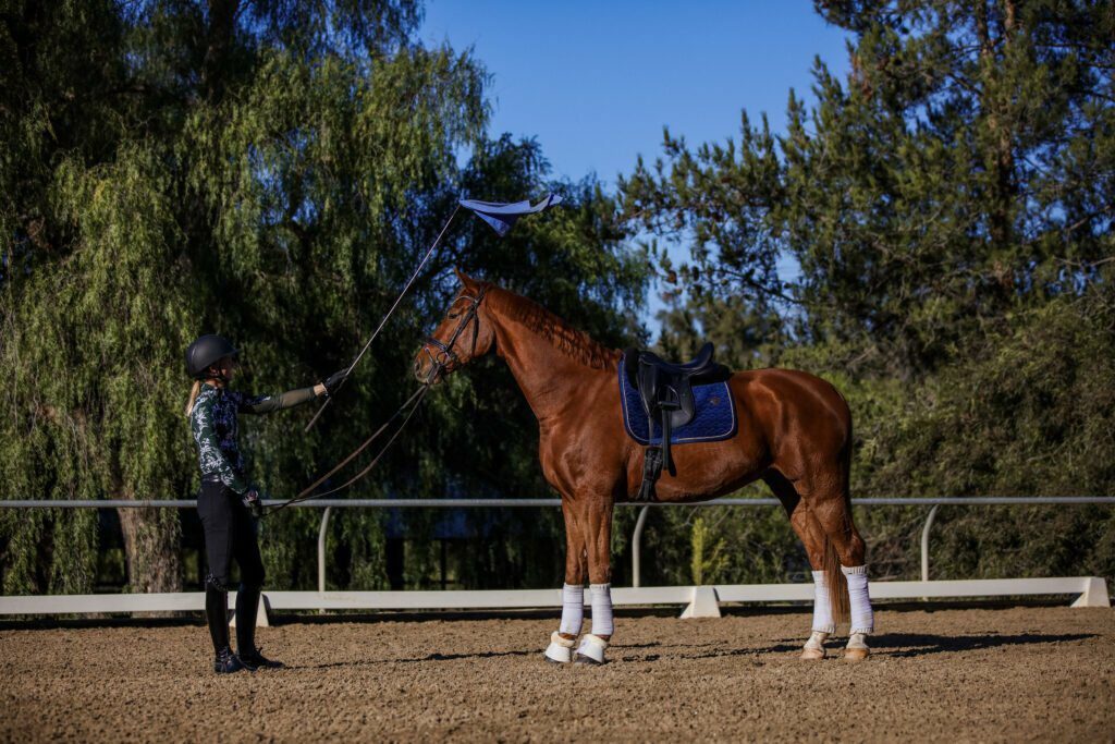 A person in riding gear stands in a sandy outdoor arena, holding a long whip near the head of a saddled, leg-wrapped chestnut horse during groundwork training. Trees and a blue sky form the backdrop to this masterclass session.