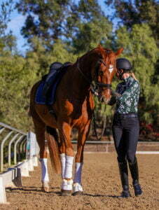 A person in equestrian gear stands beside a chestnut horse on a sandy riding arena, gently holding its bridle—an ideal moment for a Groundwork Masterclass. The horse wears a saddle and leg wraps, with trees visible in the background.