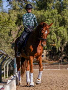 A person wearing a helmet, floral-patterned shirt, and riding boots is practicing horse training on a brown horse with white leg wraps in a sandy riding arena bordered by a metal railing and surrounded by trees.