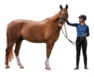 A person wearing a riding helmet and boots stands beside a brown horse, holding its reins and smiling while gently petting the horse’s neck—showcasing calm connection from expert groundwork training. The horse has white markings on its legs.