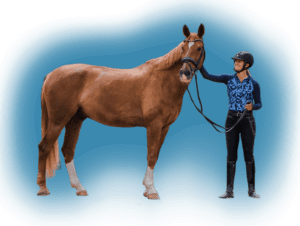 A person wearing a helmet and riding boots stands beside a brown horse, holding its reins and smiling, ready for a Groundwork Masterclass against a blue background.
