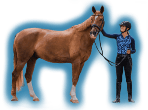 A person in riding attire and helmet stands beside a brown horse, smiling and gently touching its face—showcasing the bond built through groundwork techniques. The background is white with a blue glow around them.