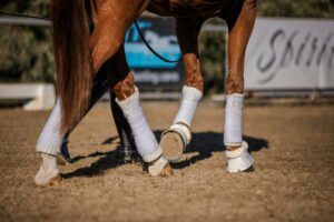 Close-up of a horse’s legs in white protective wraps, moving gracefully on a sandy riding arena during a groundwork masterclass, with blurred background signs.