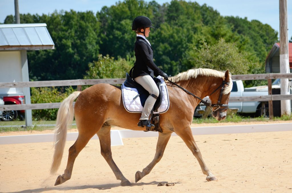 A young rider in formal attire and helmet is riding a light brown horse with a white mane in an outdoor sandy arena, demonstrating how to train your eye, with trees and a building visible in the background.