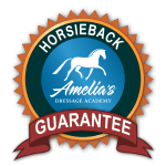 A circular badge featuring a horse silhouette and Amelias Dressage Academy in the center, surrounded by HORSEBACK GUARANTEE, with a red banner at the bottom—perfect for your Groundwork Masterclass achievements.