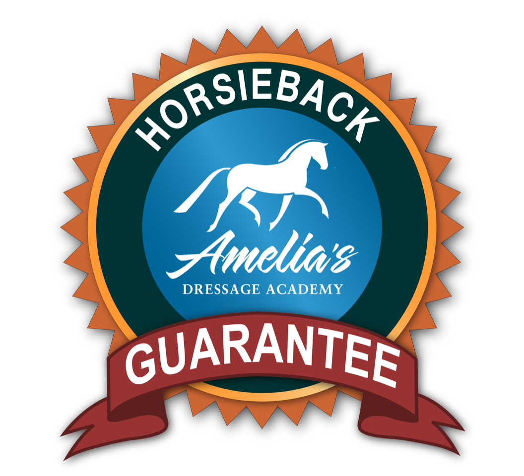 A circular badge featuring a horse silhouette and Amelias Dressage Academy in the center, surrounded by HORSEBACK GUARANTEE, with a red banner at the bottom—perfect for your Groundwork Masterclass achievements.
