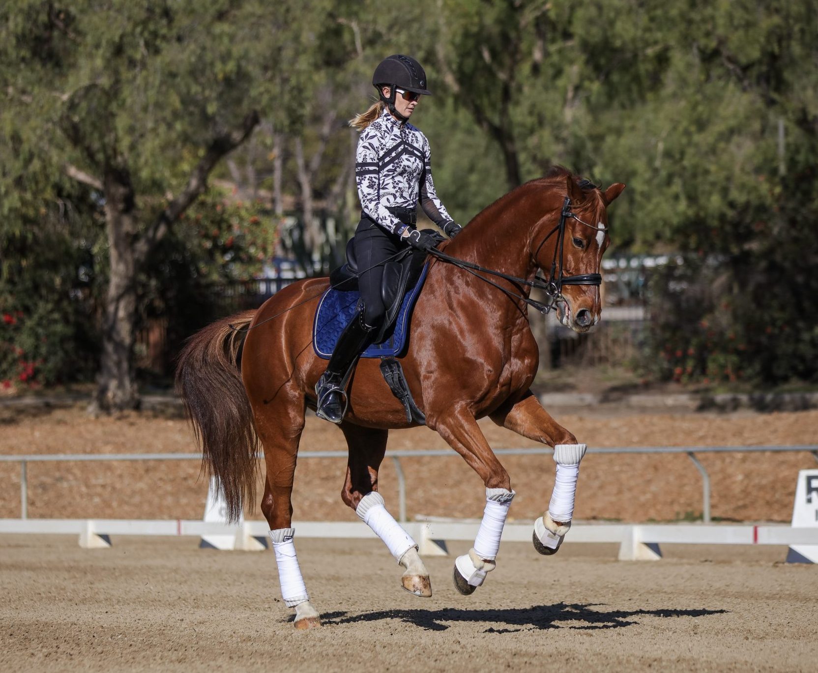 A rider in a black helmet and patterned shirt performs dressage on a chestnut horse with white leg wraps during a Flying Changes Course in an outdoor arena. Trees and fencing are visible in the background.