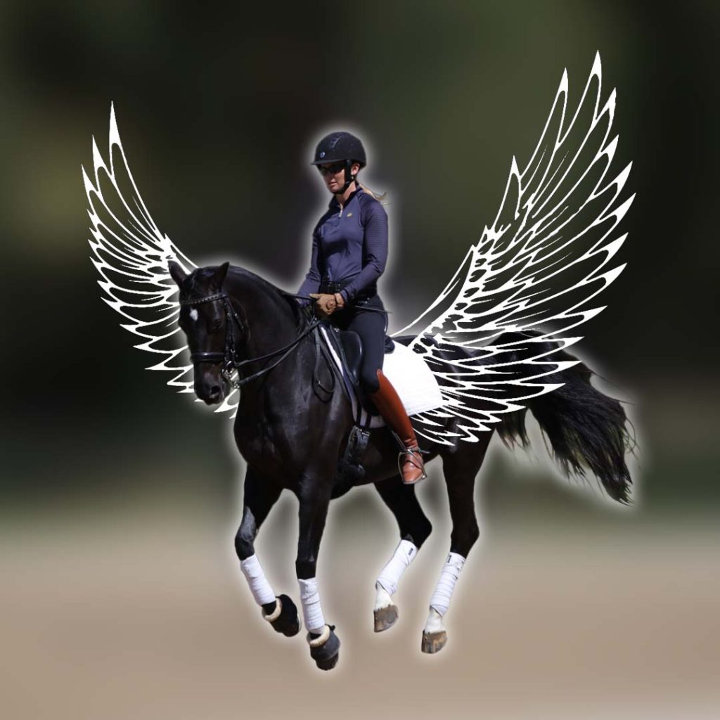 A person in riding gear sits atop a black horse with white leg wraps, as if on an equestrian course. Hand-drawn wings give the horse a mythical, Pegasus-like look, evoking the magic of flying changes. The background is blurred.