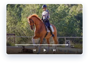 A person wearing a helmet and patterned top rides a chestnut horse in an outdoor arena, with trees behind them. A dog lies nearby as the paused video player captures this moment—perfect for showcasing recent Flyer Changes.