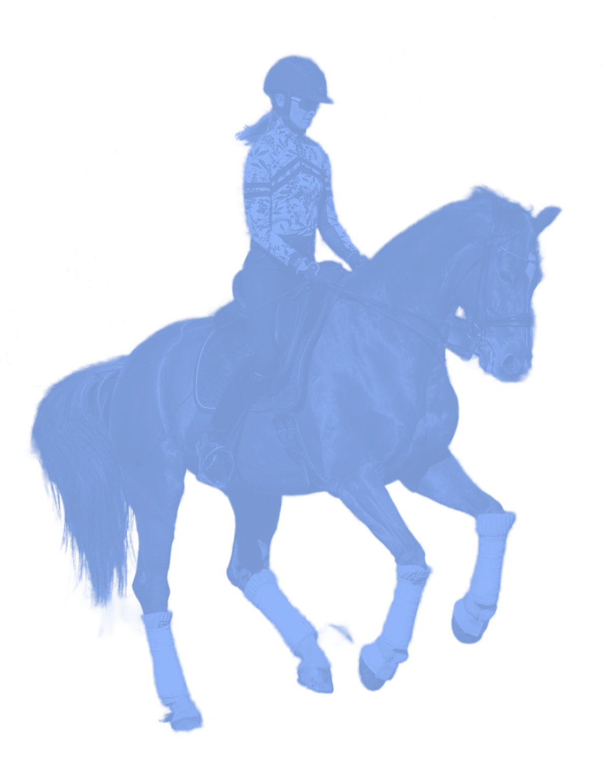 A person wearing a helmet rides a horse, both equipped with protective gear on their legs and hooves, performing what appears to be a flyer changes dressage movement.