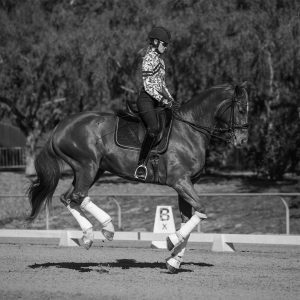 A person wearing a helmet and patterned jacket rides a horse performing flying changes during dressage in an outdoor arena, with trees and a dressage marker labeled B in the background. The image is in black and white, highlighting skilled horse training.