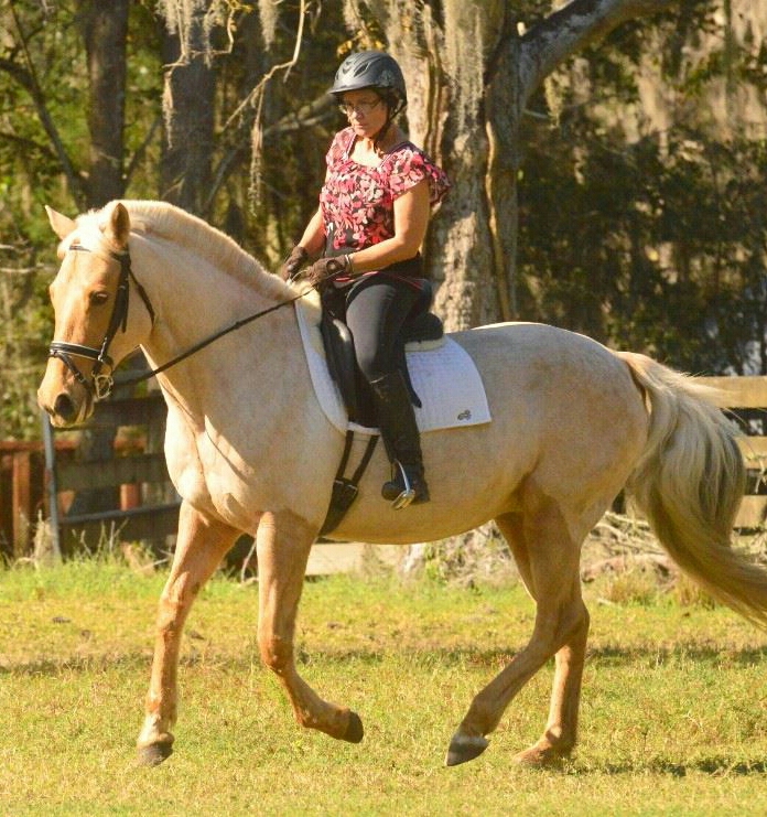 Rider Deb, wearing a helmet and patterned shirt, rides a light-colored horse with a white saddle pad across a grassy area, perfect for eye training amid the trees in the background.