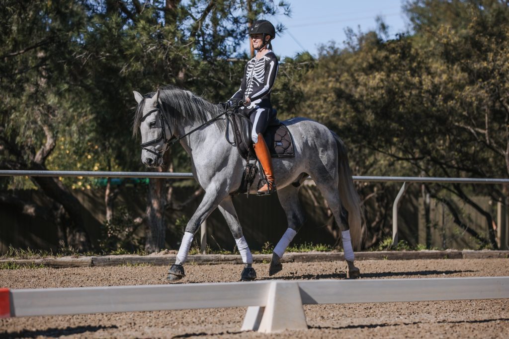 A person in a black and white skeleton costume demonstrates excellent rider position while riding a grey horse in an outdoor equestrian arena on a sunny 2023 day, surrounded by trees and a fence.