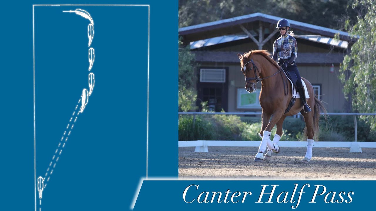 A rider performs a canter half pass on a chestnut horse in a dressage arena, with a diagram of the movements path shown on the left. Text reads Canter Half Pass.