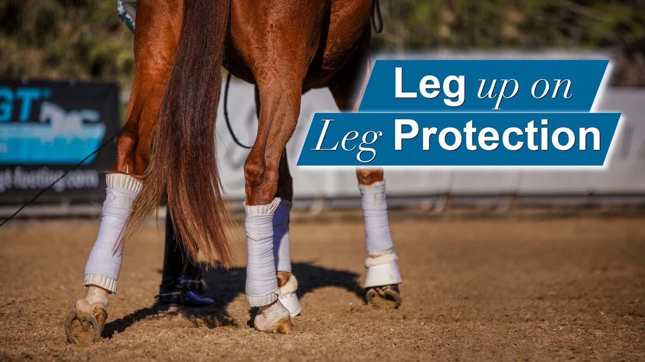 A close-up of a horse’s legs wrapped in white protective bandages on a sandy arena, with the text Leg up on Leg Protection overlayed on the right side.