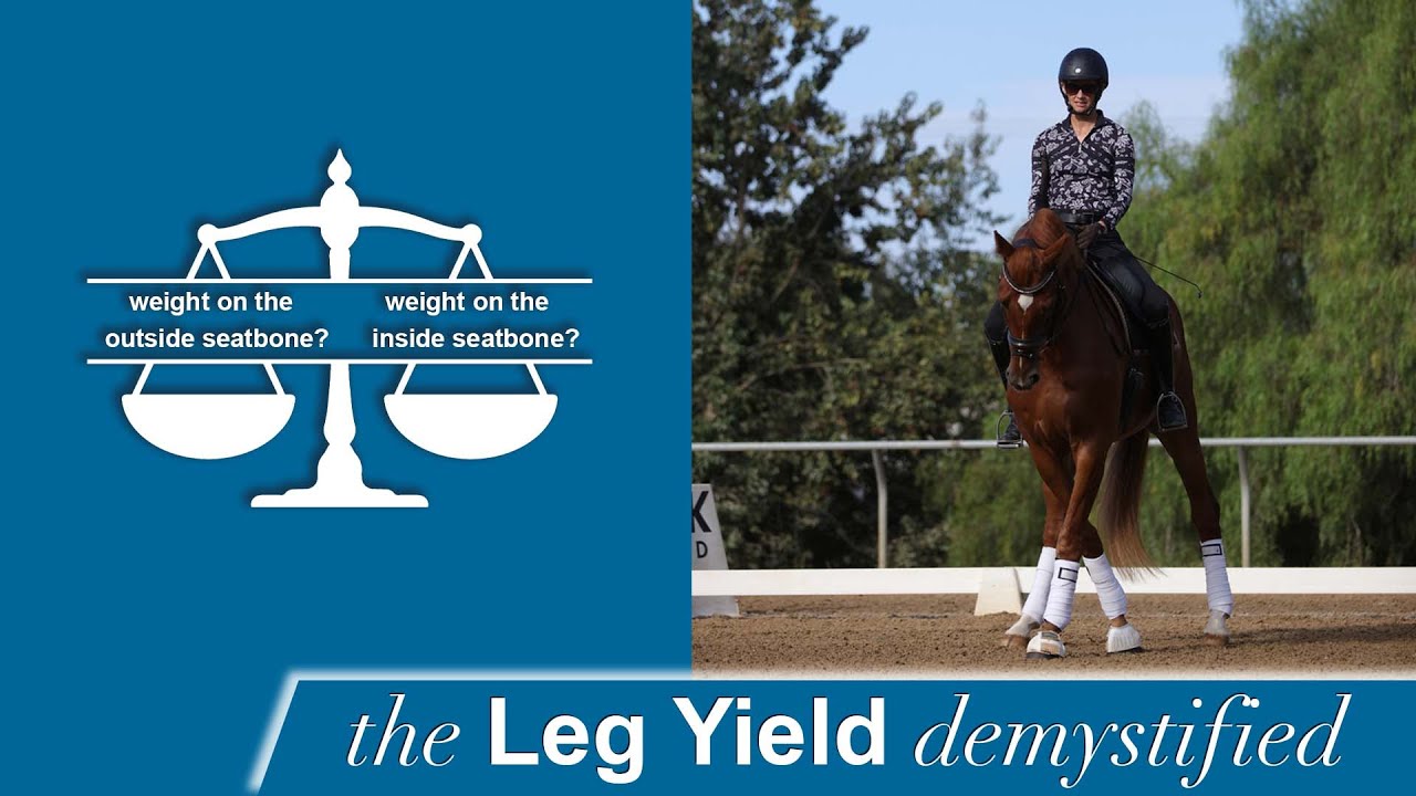 A rider on a brown horse practices leg yield in an arena. Beside them, a scale graphic asks about weight on the outside seatbone? versus weight on the inside seatbone? with the text the Leg Yield demystified below.