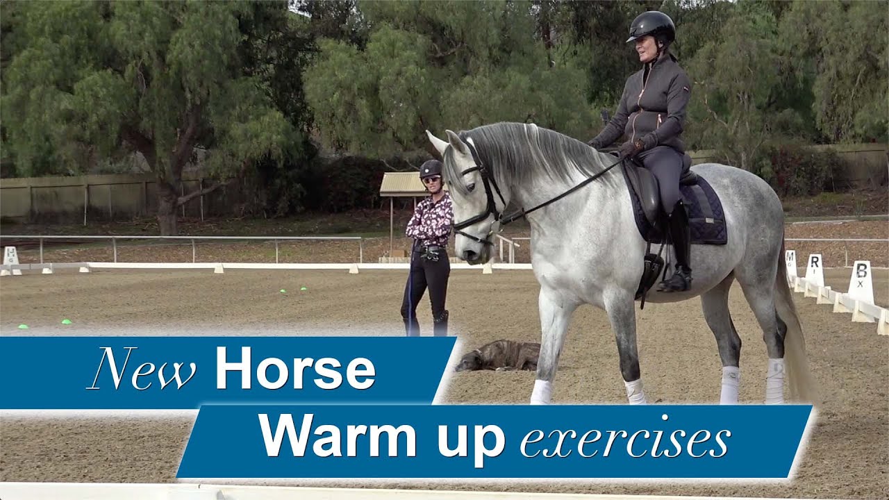 A person riding a gray horse in an outdoor arena while another person stands nearby instructing. Text on the image reads New Horse Warm up exercises. Trees and dressage markers are visible in the background.