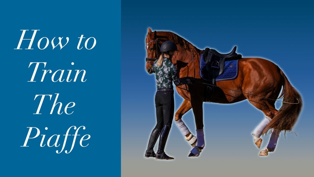 A person in riding gear stands next to a chestnut horse with white leg wraps and a blue saddle pad. The text on a blue background reads, How to Train The Piaffe.
