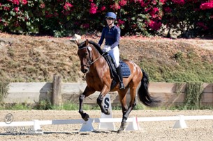 Strides Member Hannah, wearing a helmet and riding attire, is riding a brown horse in a dressage arena outdoors, with flowers and greenery in the background and white markers on the sandy ground.
