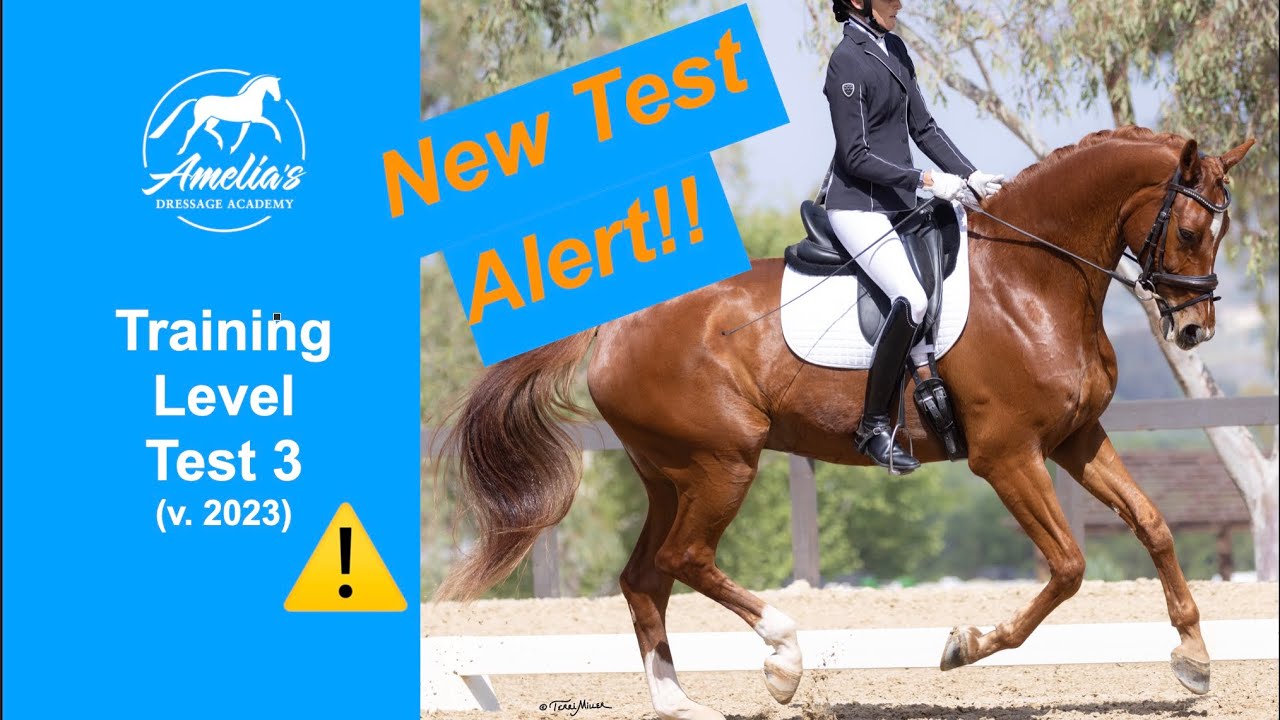 A rider in formal dressage attire rides a chestnut horse in an outdoor arena. Text reads “New Test Alert!!” and “Training Level Test 3 (v. 2023)” next to Amelia’s Dressage Academy logo.