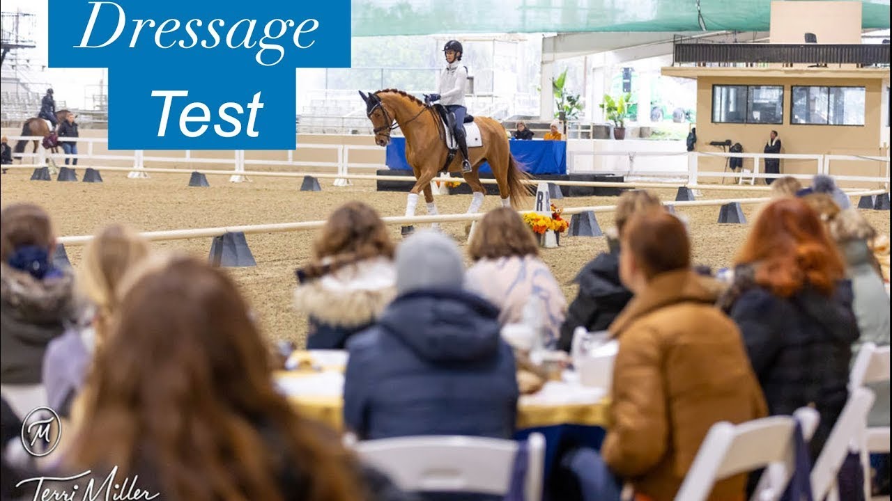 A rider in formal attire guides a horse through a dressage test in an indoor arena, while judges and spectators seated at tables watch the performance. The text Dressage Test appears in the top left corner.