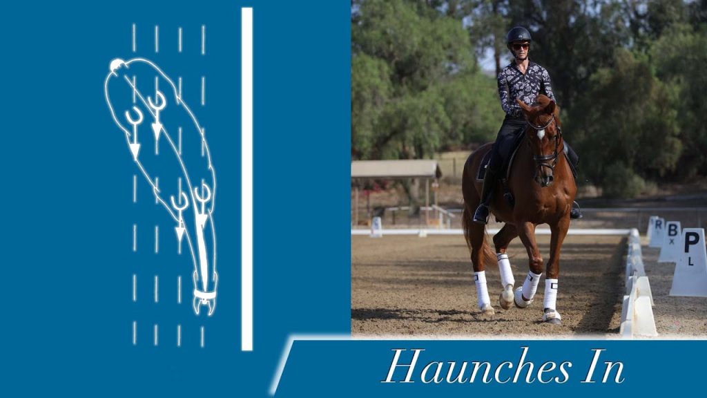 A diagram of a horse performing a haunches in dressage movement is on the left, while on the right, a rider guides a chestnut horse in the same movement in an outdoor arena. The text reads Haunches In.