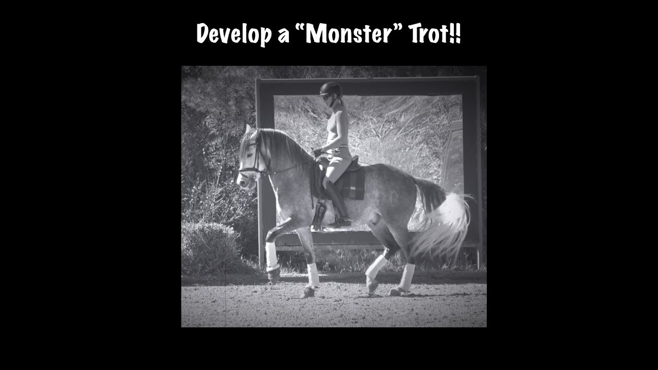 Black and white image of a person riding a trotting horse in an outdoor arena, with the text Develop a Monster Trot!! above the image.