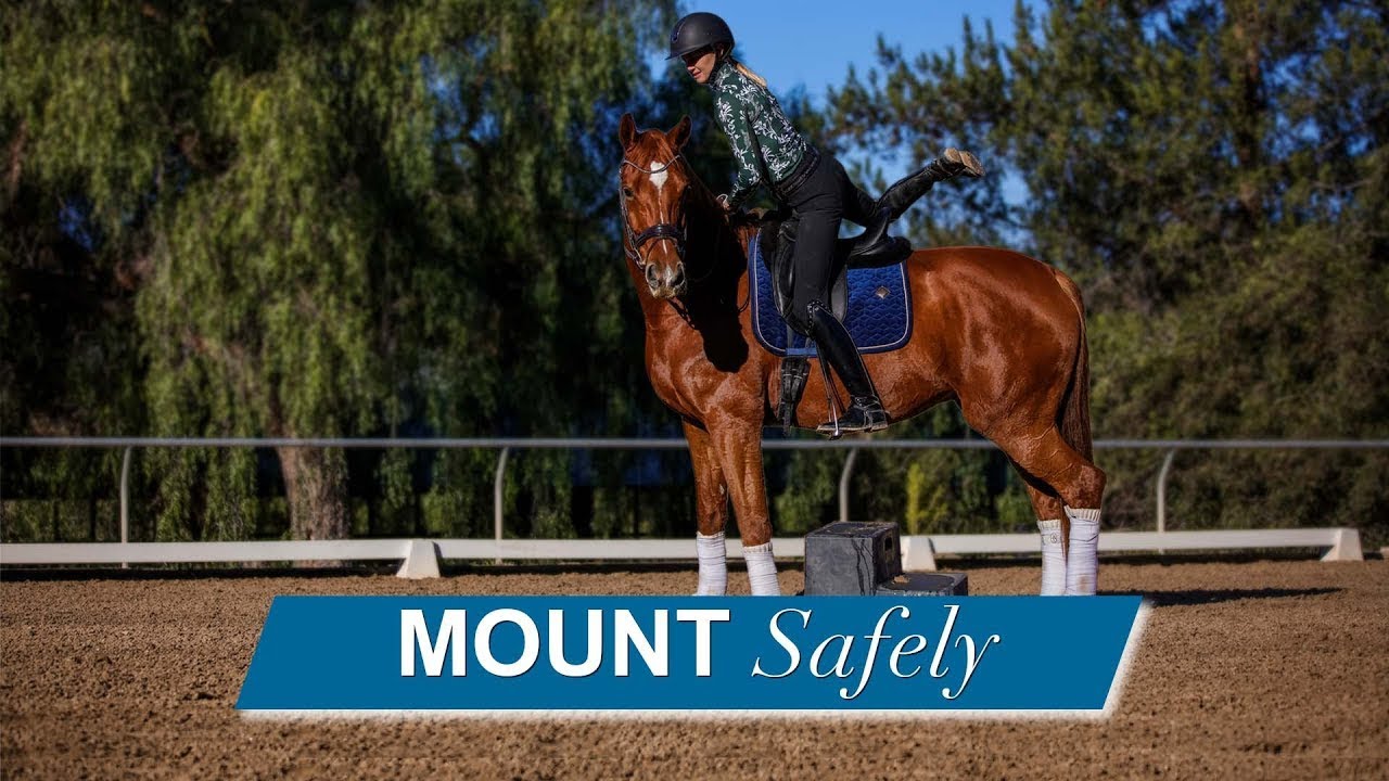 A person in riding gear mounts a brown horse with white leg wraps in an outdoor arena, using a mounting block. The text MOUNT Safely appears at the bottom of the image. Trees are visible in the background.