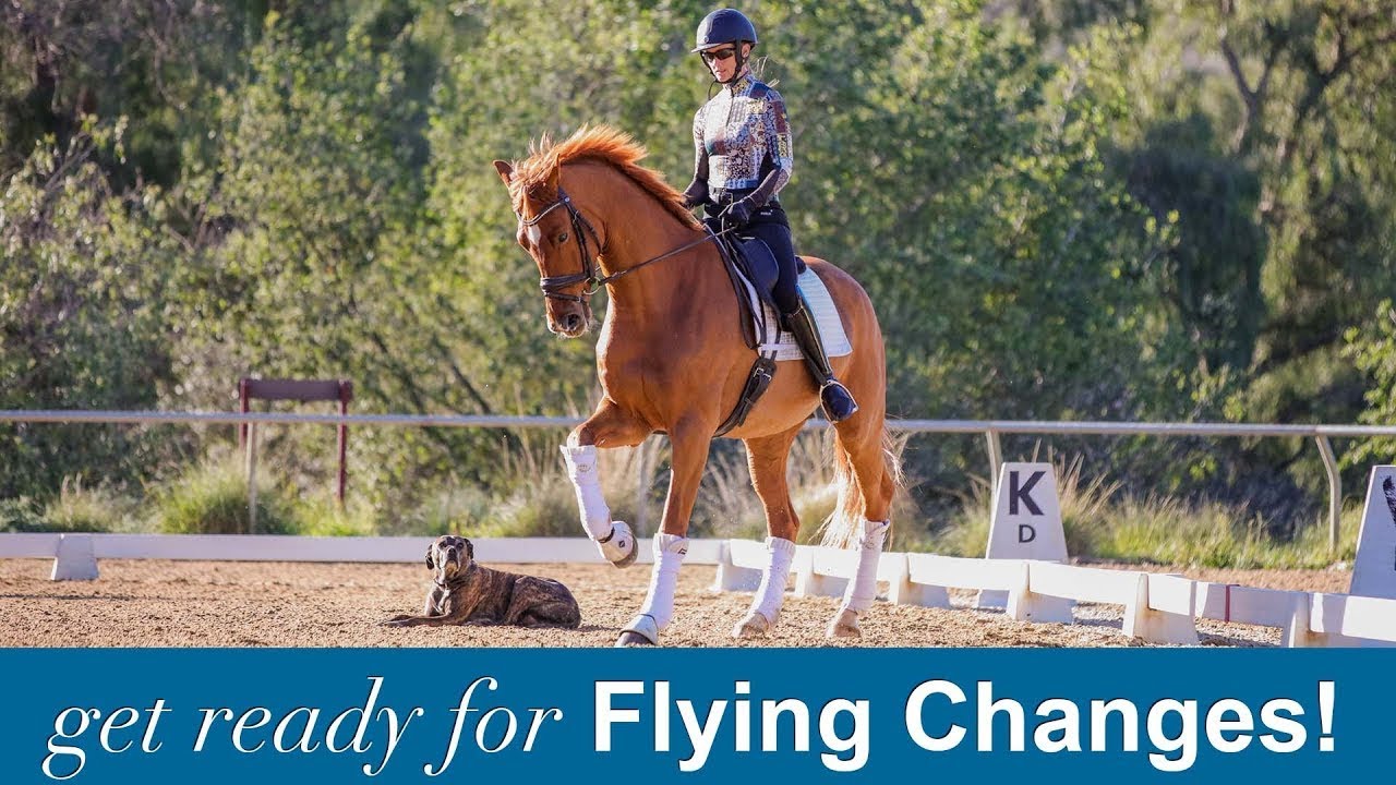 A person rides a chestnut horse in an outdoor dressage arena, with a dog lying on the sand nearby. Trees and a sign marked K are visible in the background. Text reads: get ready for Flying Changes!.