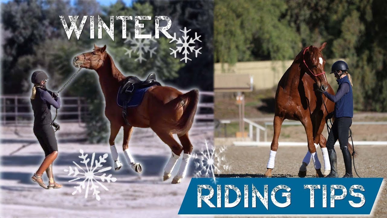 Two people in riding gear handle energetic chestnut horses outdoors. The image is split, with WINTER and snowflakes on the left, and RIDING TIPS on a blue banner on the bottom right. Trees are visible in the background.