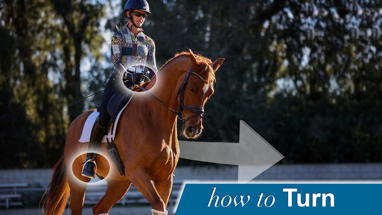 A person in a helmet rides a chestnut horse in an outdoor arena, with sunlight shining on them. Highlighted circles show the rider’s hands and foot as an arrow curves right. Text reads how to Turn.