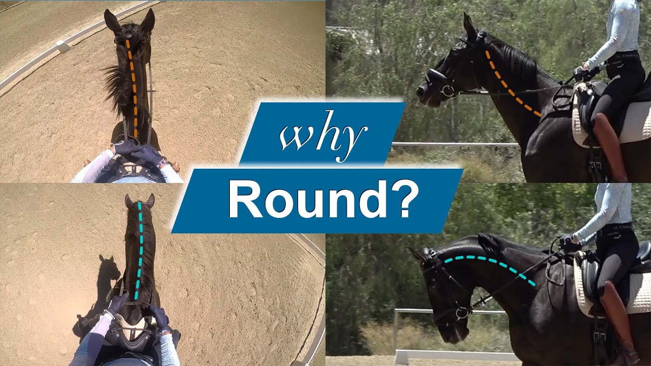 Four images of a person riding a black horse are shown, with colored lines illustrating the horse’s neck position. Text in the center reads “why Round?” in white and blue font.