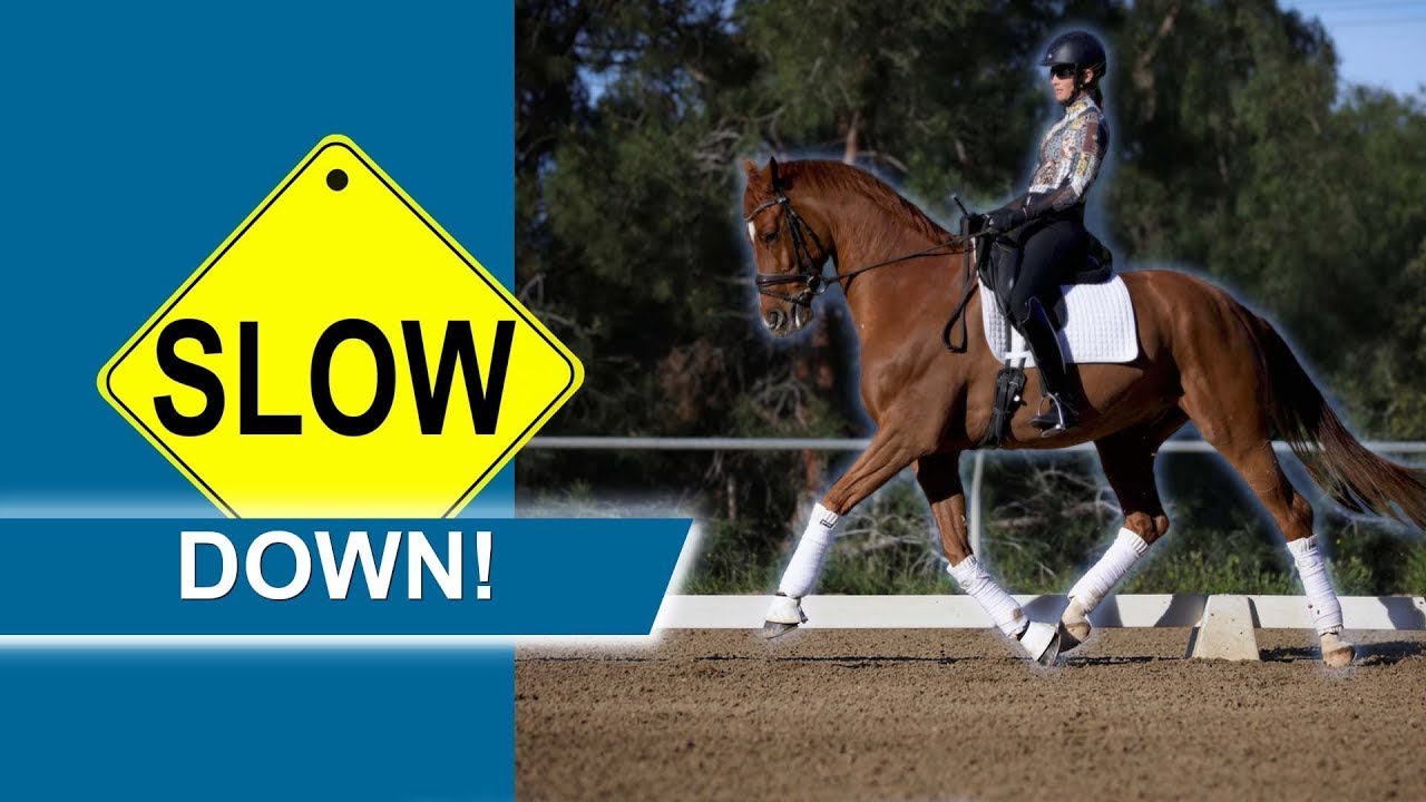 A rider in a helmet guides a brown horse in an outdoor arena. On the left, a large yellow road sign reads SLOW above a blue banner with DOWN! in white letters. Trees are visible in the background.